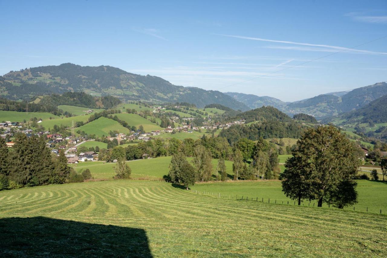 Knollgut Ferienwohnung Buchberg Goldegg Exterior foto
